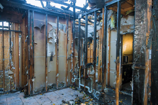 Professional Fire Damage Removal technician working in Elmwood, WI
